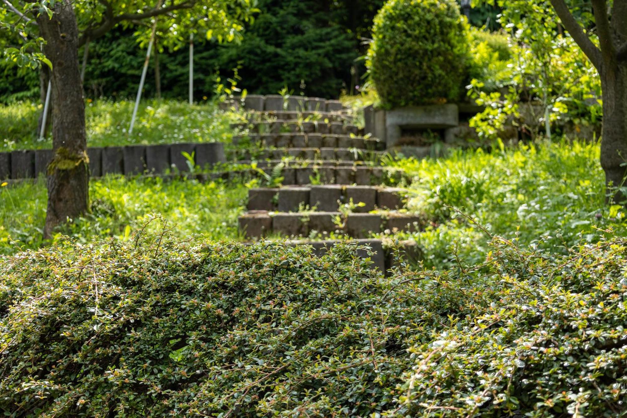 Villa Amalia, Centrum Banska Stiavnica, Parkovanie Pre 2 Auta, Velka Zahrada S Krbom, Cela Villa Amalia Pre 14 Osob Alebo Samostatne Nezavisle Prve Podlazie Villa Ama Pre 6 Osob Alebo Samostatne Nezavisle Podkrovie Villa Lia Pre 8 Osob,Pristup Cez Pi المظهر الخارجي الصورة