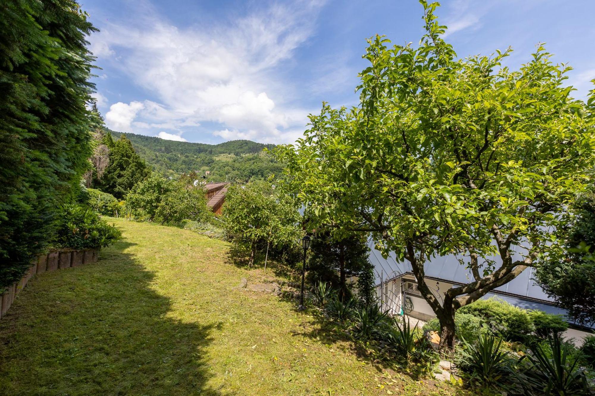 Villa Amalia, Centrum Banska Stiavnica, Parkovanie Pre 2 Auta, Velka Zahrada S Krbom, Cela Villa Amalia Pre 14 Osob Alebo Samostatne Nezavisle Prve Podlazie Villa Ama Pre 6 Osob Alebo Samostatne Nezavisle Podkrovie Villa Lia Pre 8 Osob,Pristup Cez Pi المظهر الخارجي الصورة